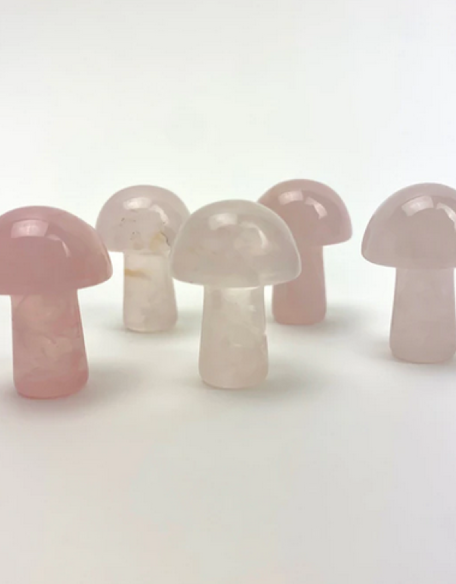 Mini Magic Mushrooms | 20mm |