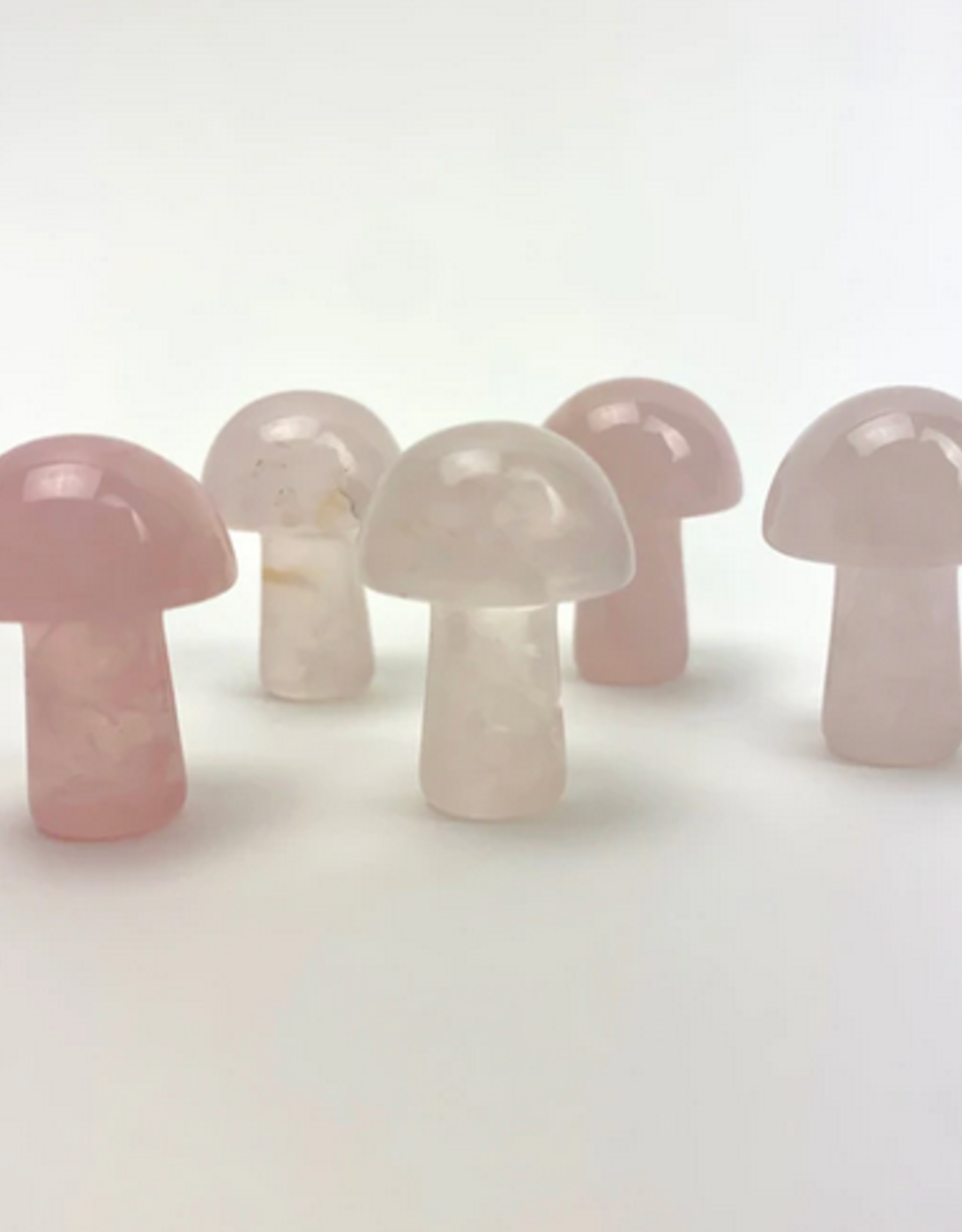 *Mini Magic Mushrooms |
