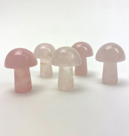 *Mini Magic Mushrooms |