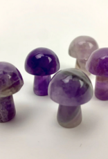 *Mini Magic Mushrooms |