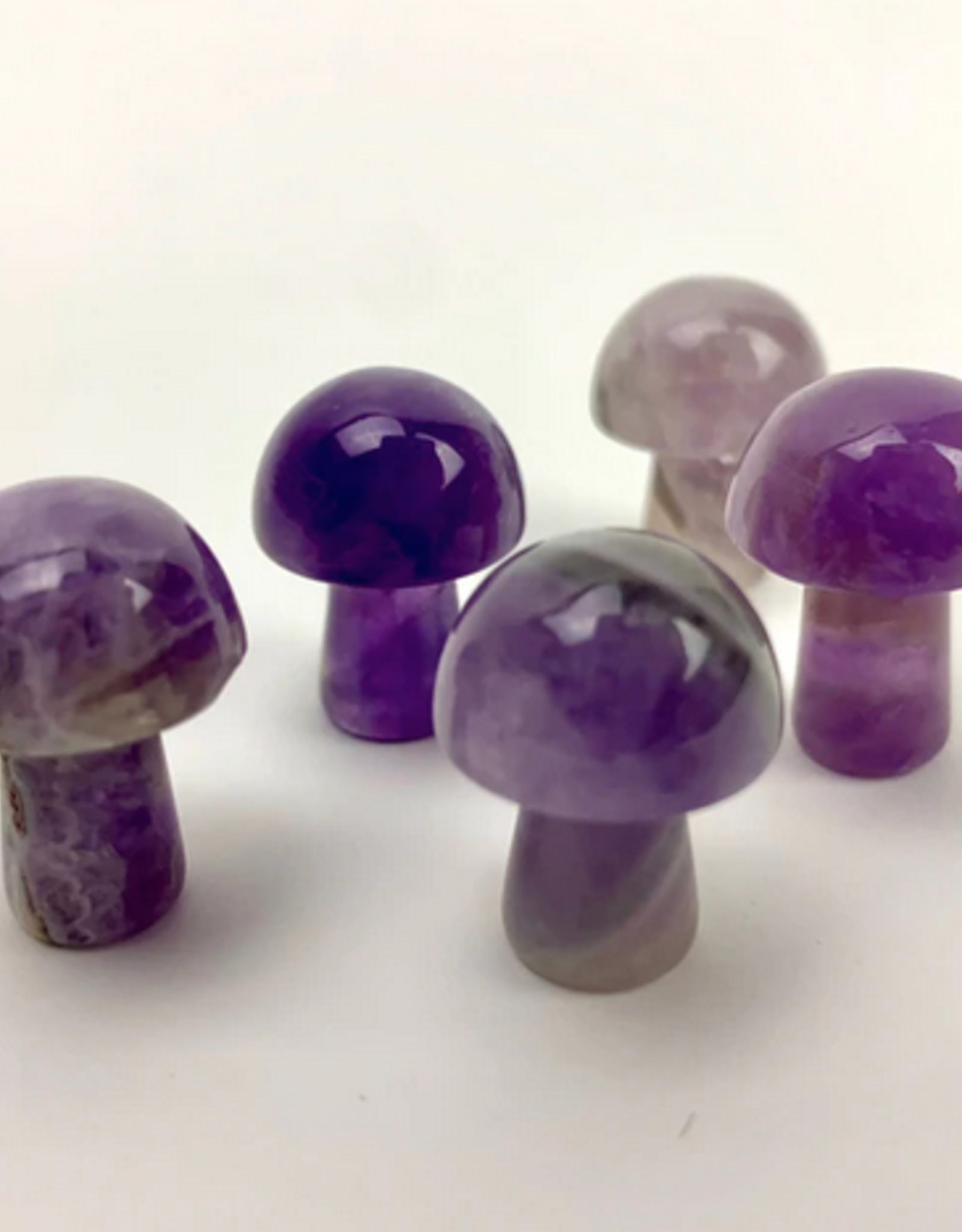 *Mini Magic Mushrooms |