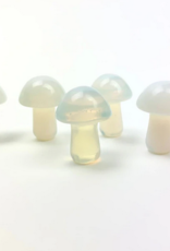 *Mini Magic Mushrooms |