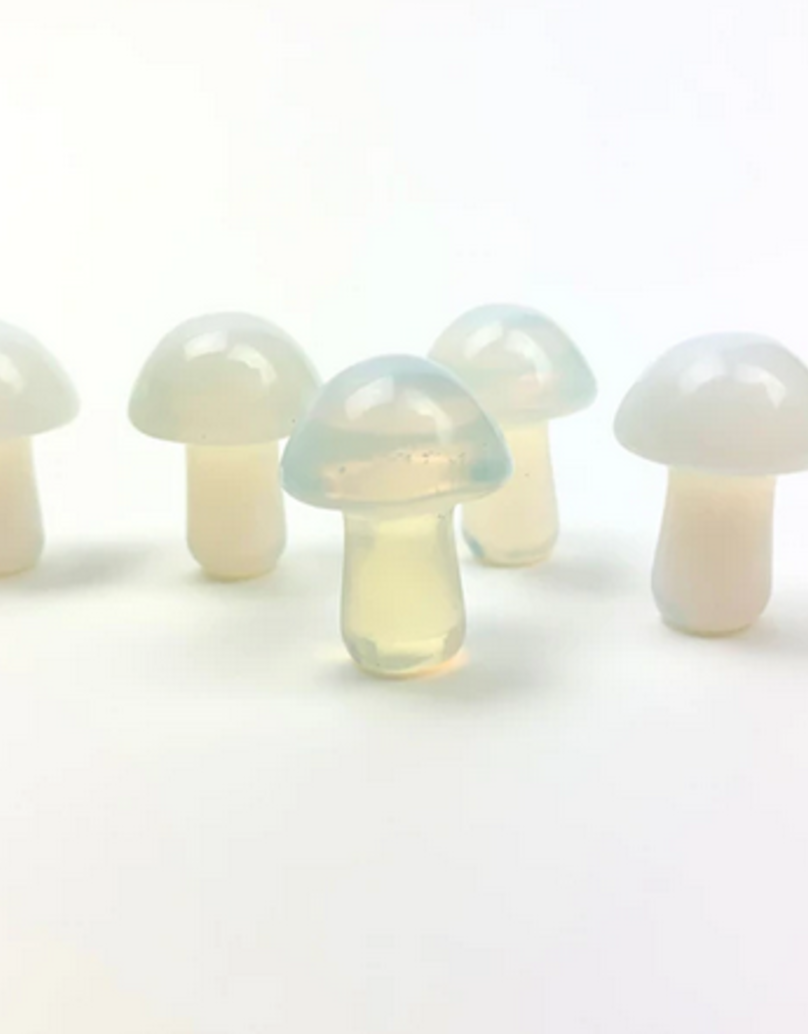 *Mini Magic Mushrooms |