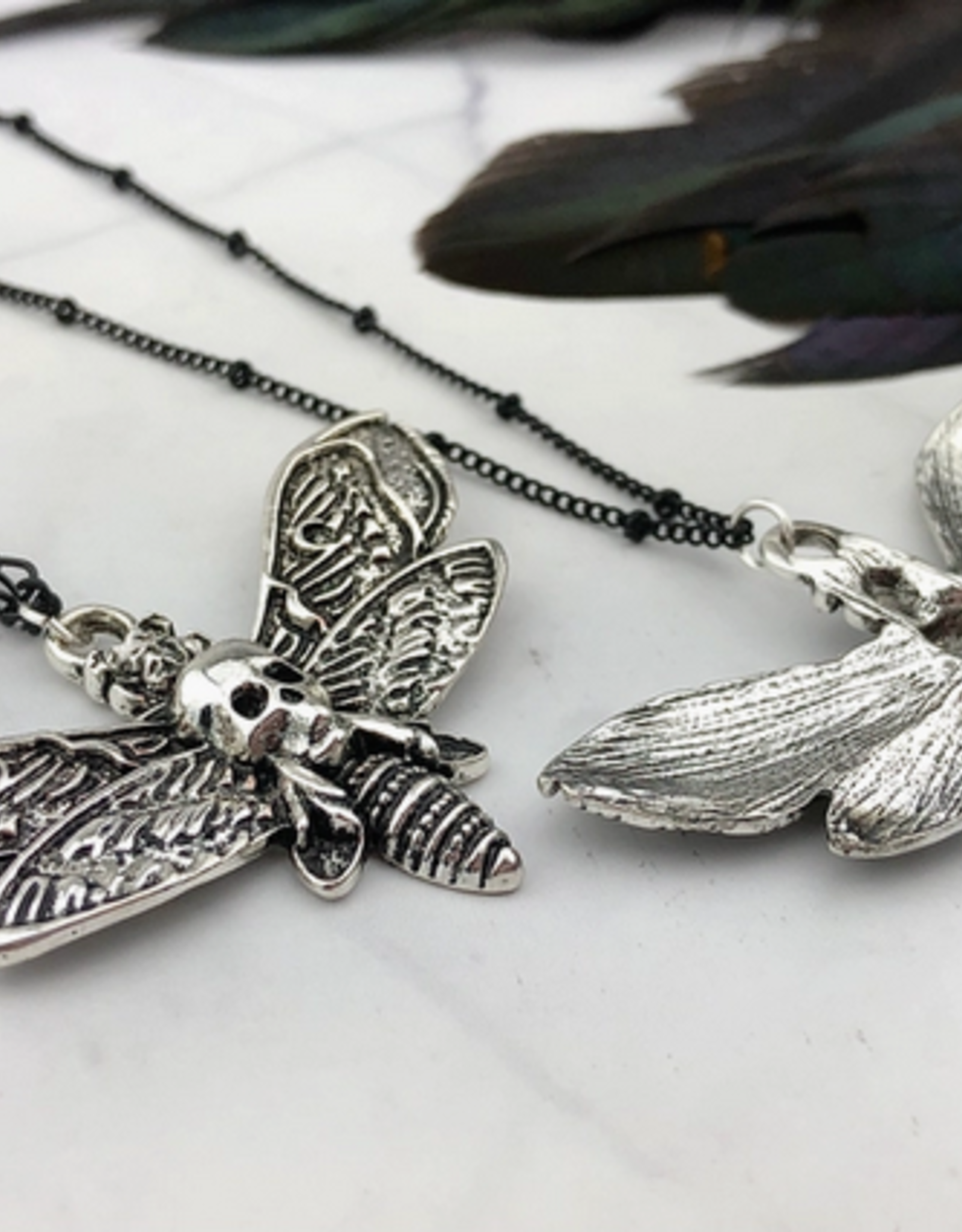 *Silver Death Head Moth Necklace - Figaro Chain