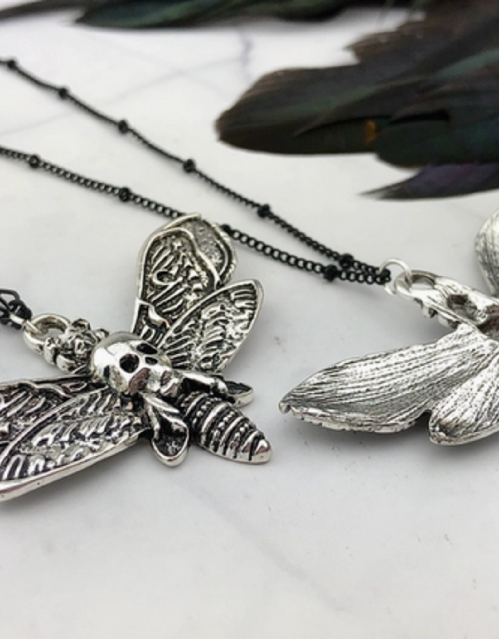 SpotLight Jewelry Silver Death Head Moth Necklace - Figaro Chain