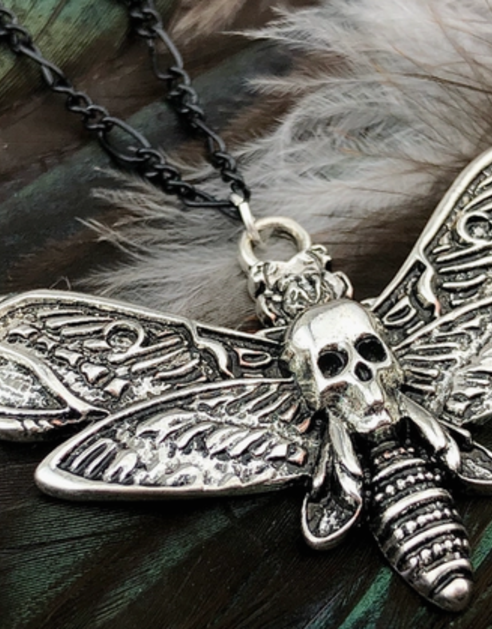 *Silver Death Head Moth Necklace - Figaro Chain