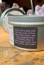 Moonlight and Mindfulness Just a Bunch of Hocus Pocus 8oz Candle (Fall)