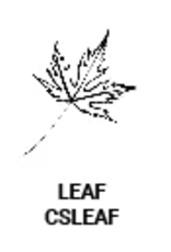 *Classic Seal - Leaf