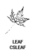 Global Solutions *Classic Seal - Leaf