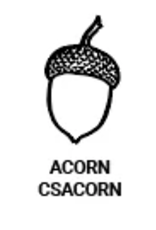 Global Solutions *Classic Seal - Acorn