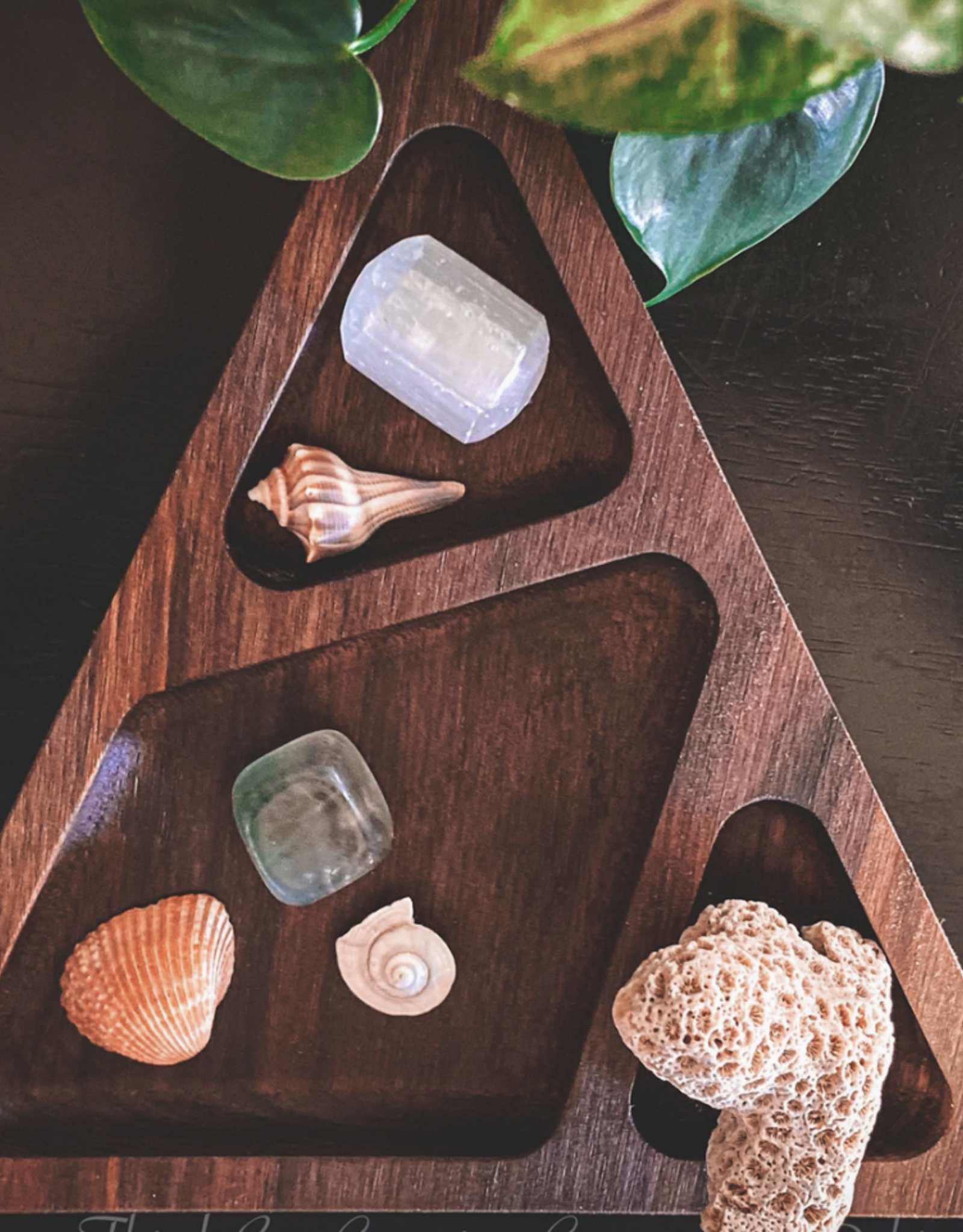 *Wooden Triangle Organization Tray