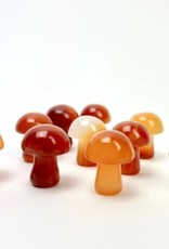 *Mini Magic Mushroom | Flower Agate | 20mm