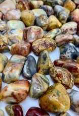 Crazy Lace Agate Tumbled | 10-20MM | Brazil