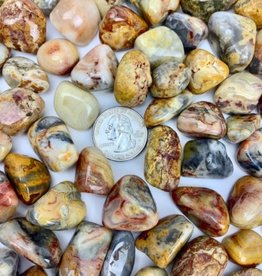 Crazy Lace Agate Tumbled | 10-20MM | Brazil