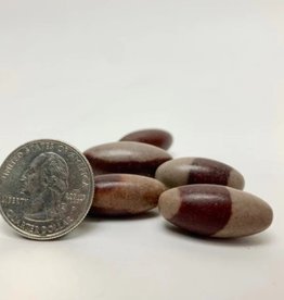 Nima Healing Shiva Lingam | 20-35mm | India