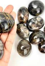 Black Moonstone | Palm Stone | 45-55mm | Madagascar