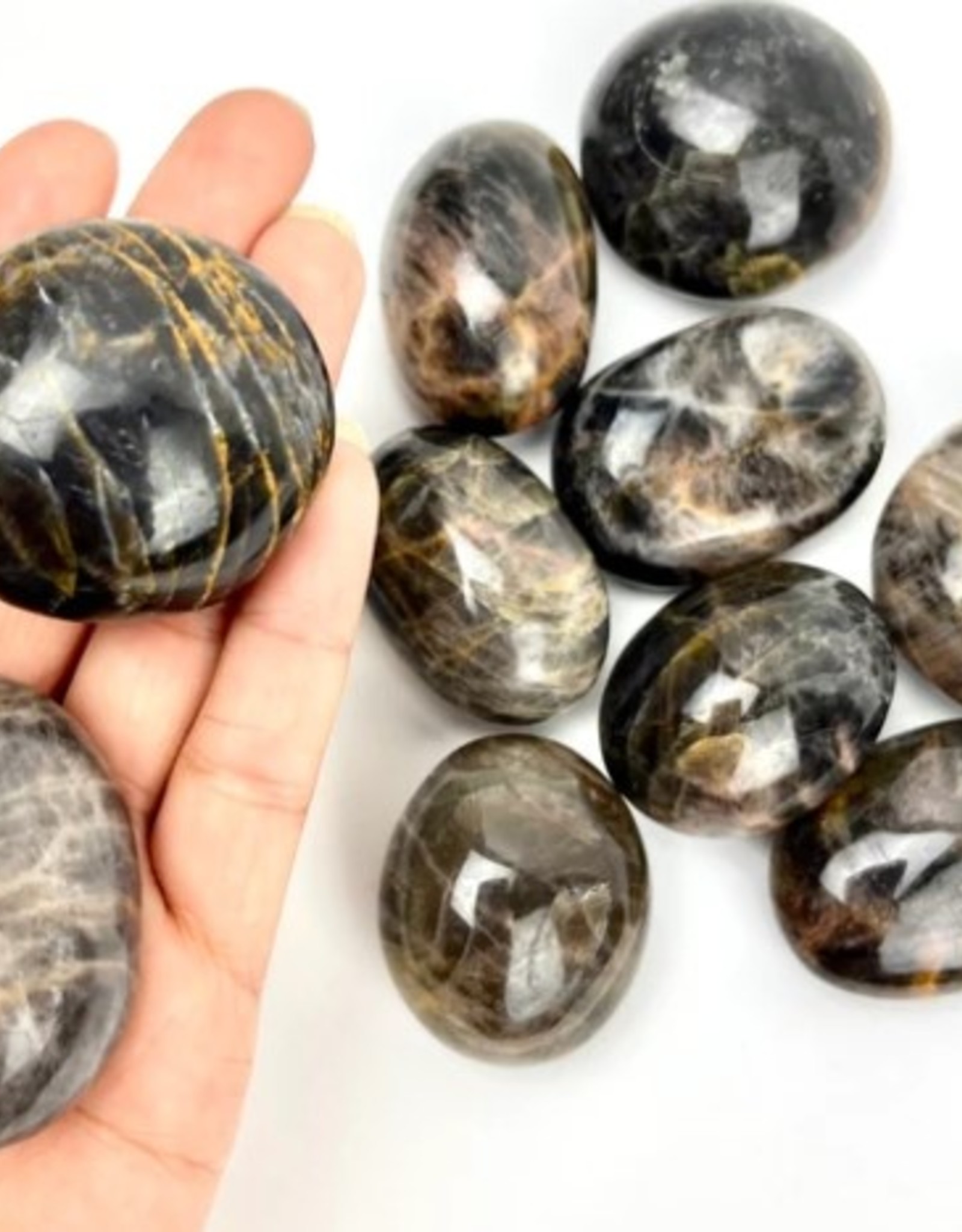 Black Moonstone Palmstone | 45-55MM | Madagascar