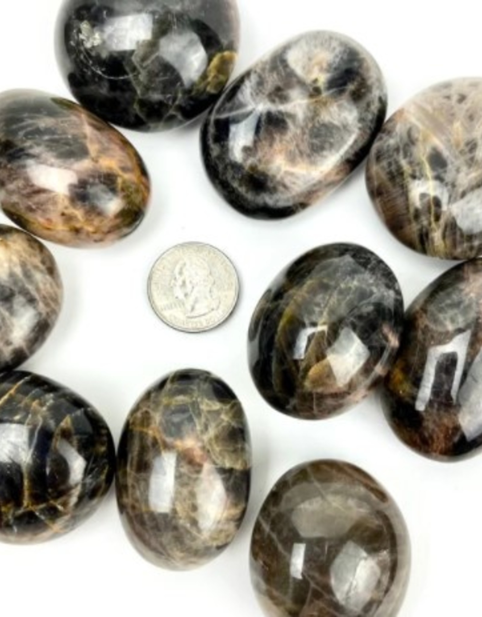 Black Moonstone | Palm Stone | 45-55mm | Madagascar