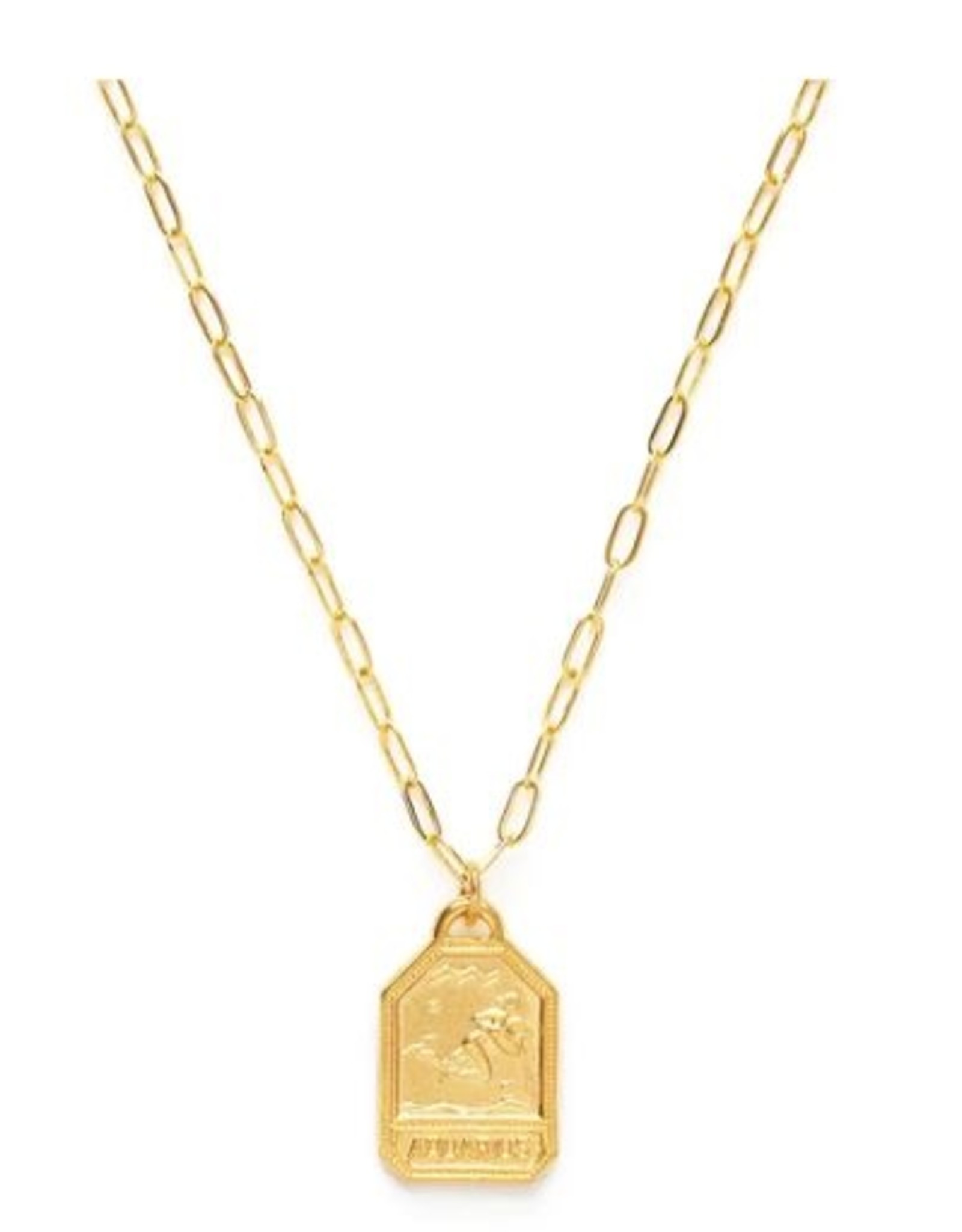 *Zodiac Medallion Dog Tag Necklace - Aquarius