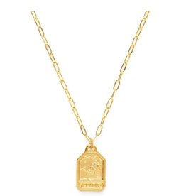 *Zodiac Medallion Dog Tag Necklace - Aquarius
