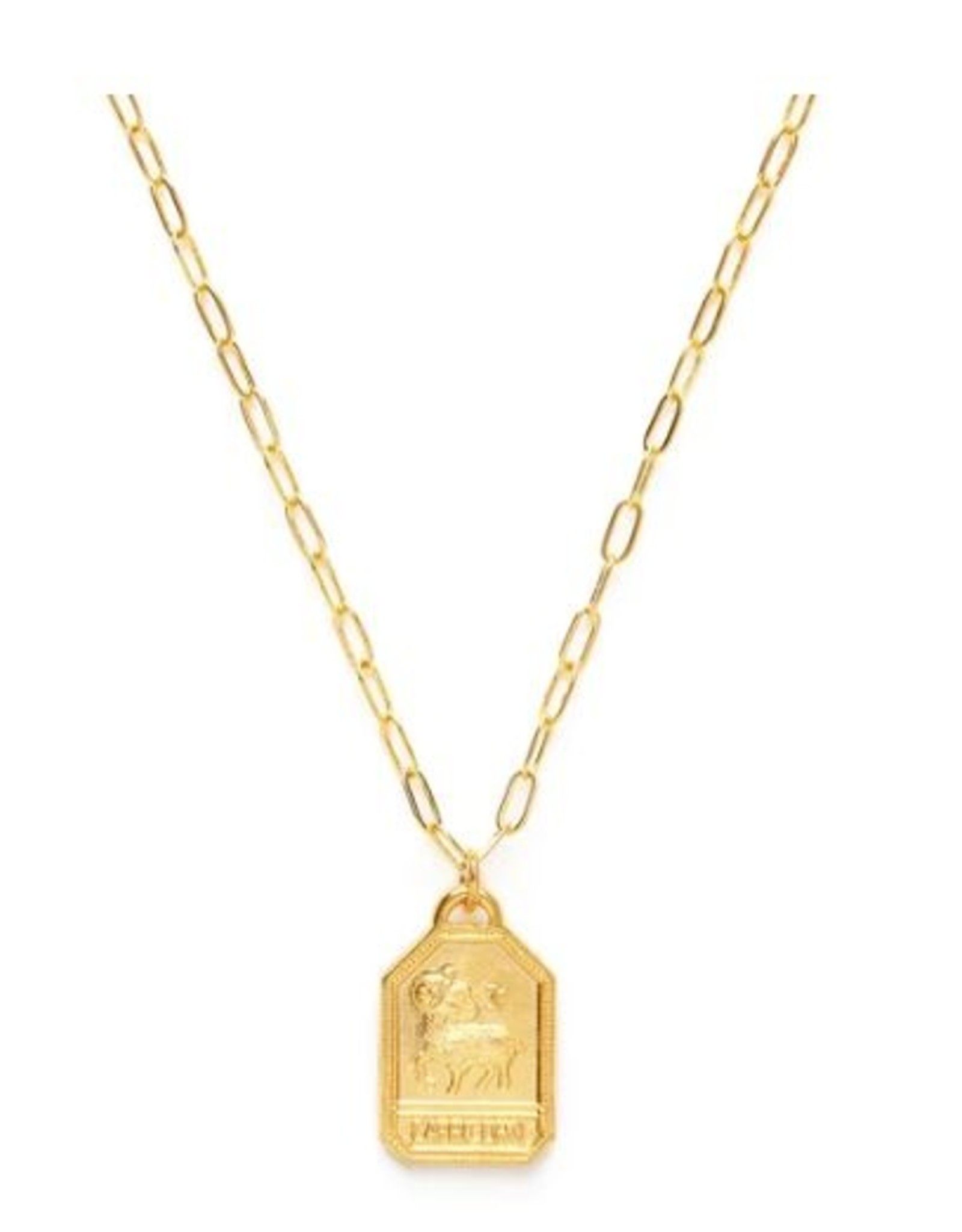 *Zodiac Medallion Dog Tag Necklace - Capricorn