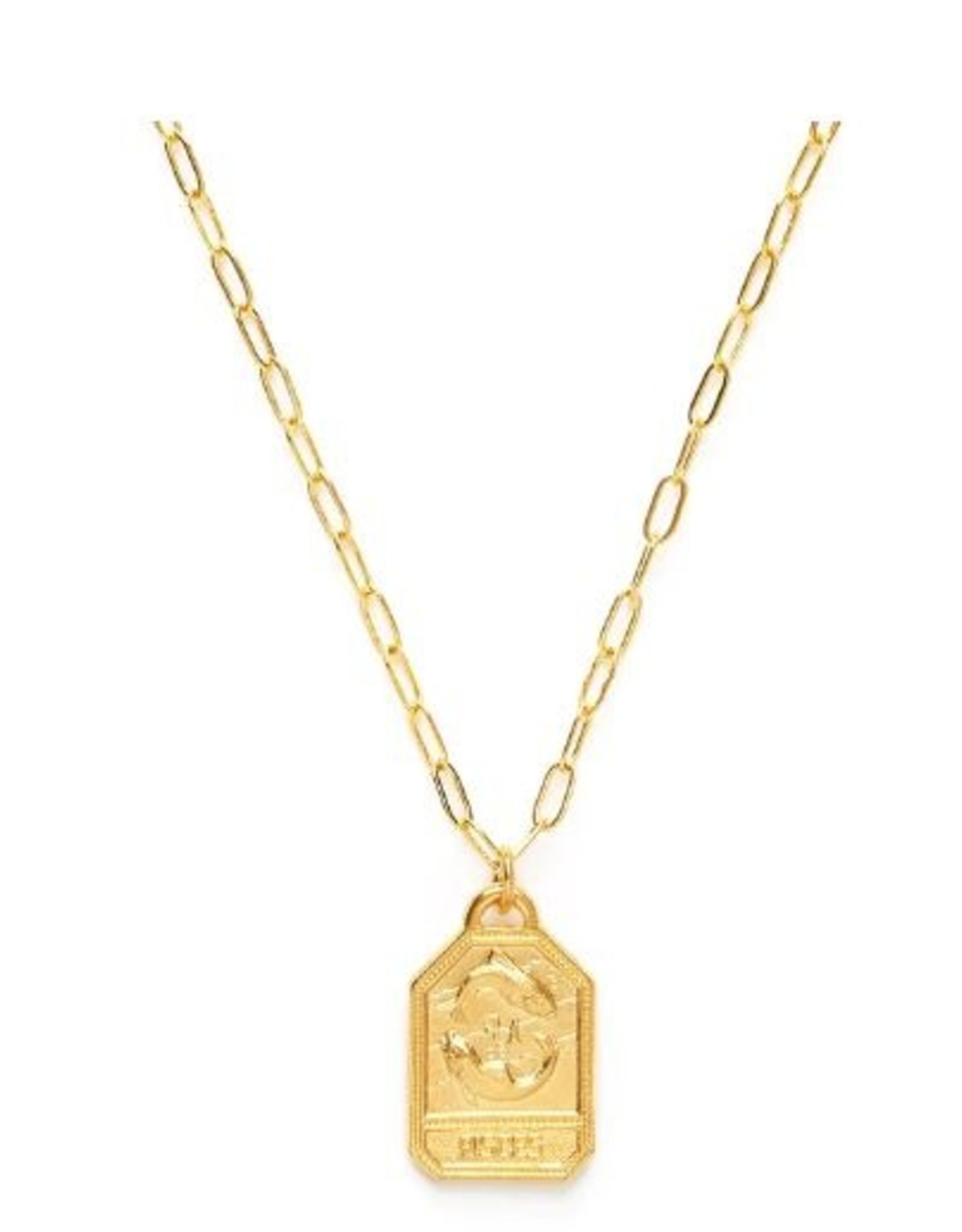 *Amano Studio *Zodiac Medallion Dog Tag Necklace - Pisces