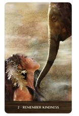 Wild Woman Rising