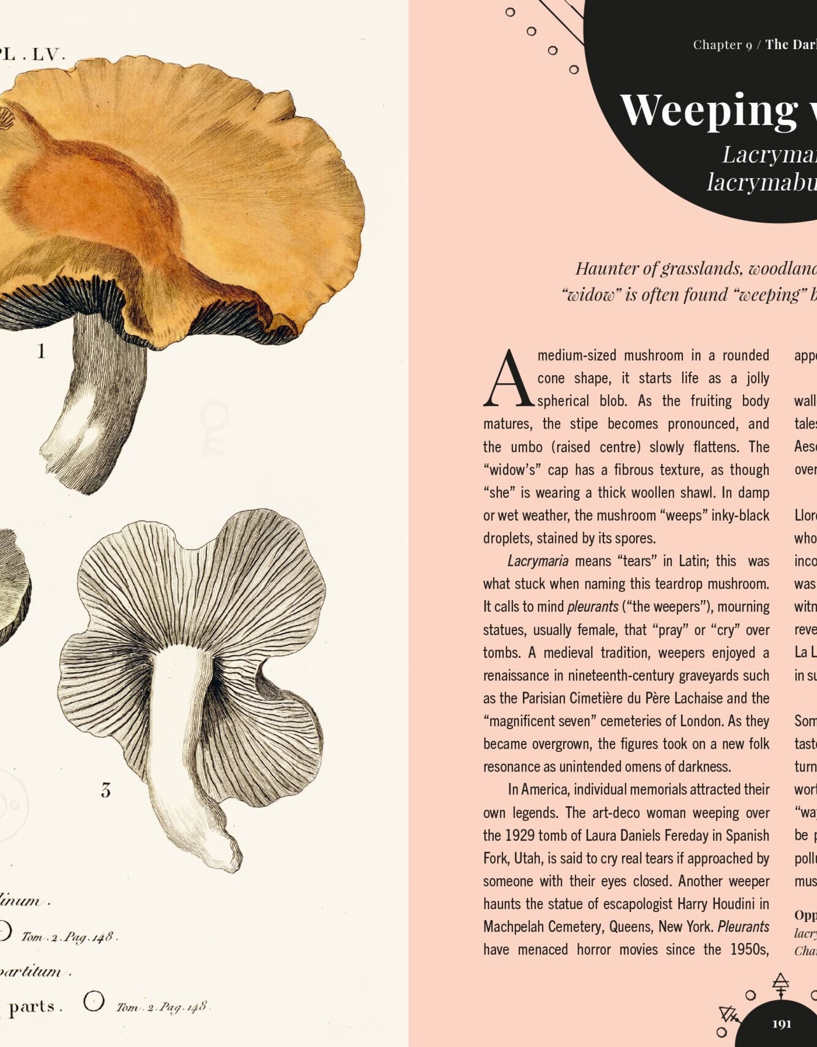 Magic of Mushrooms: Fungi in Folklore, Science and the Occult*