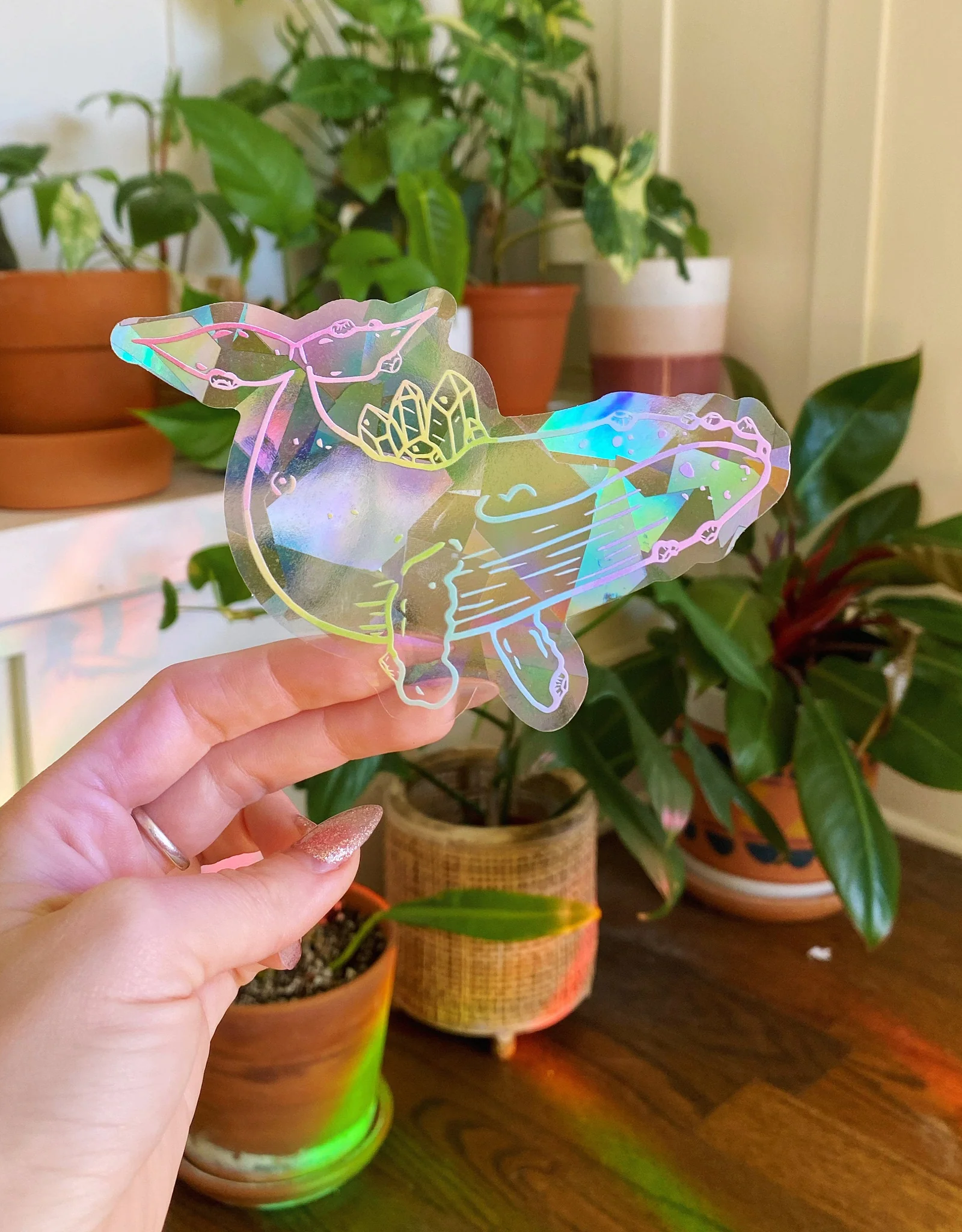 Whale Suncatcher Window Decal
