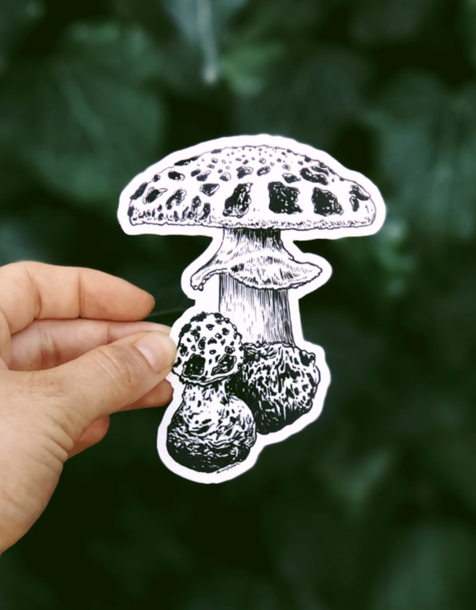 *Kaari + Co *Mushroom I Vinyl Sticker