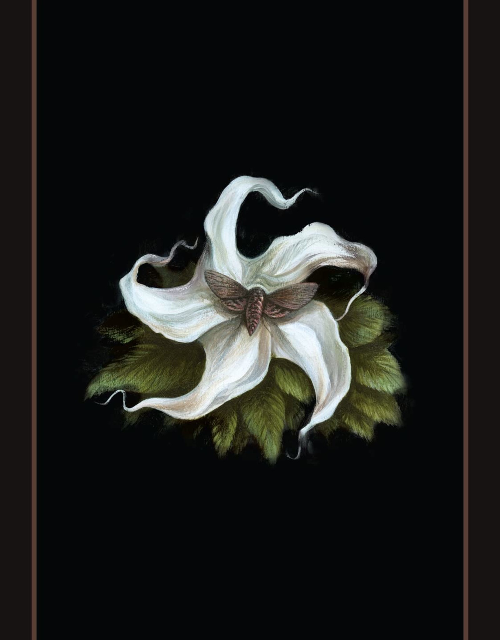 Into The Lonely Woods Cards