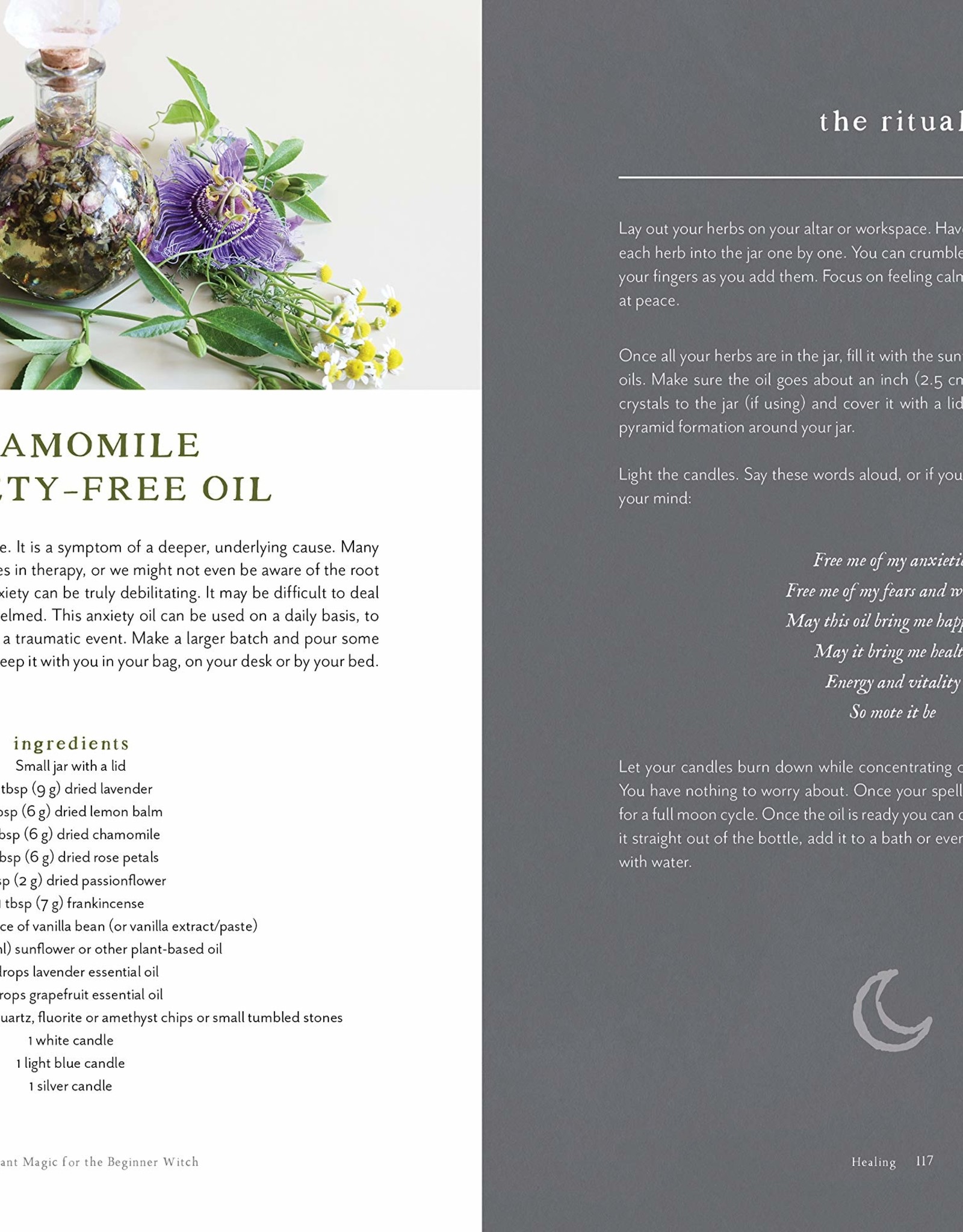 Plant Magic For The Beginner Witch