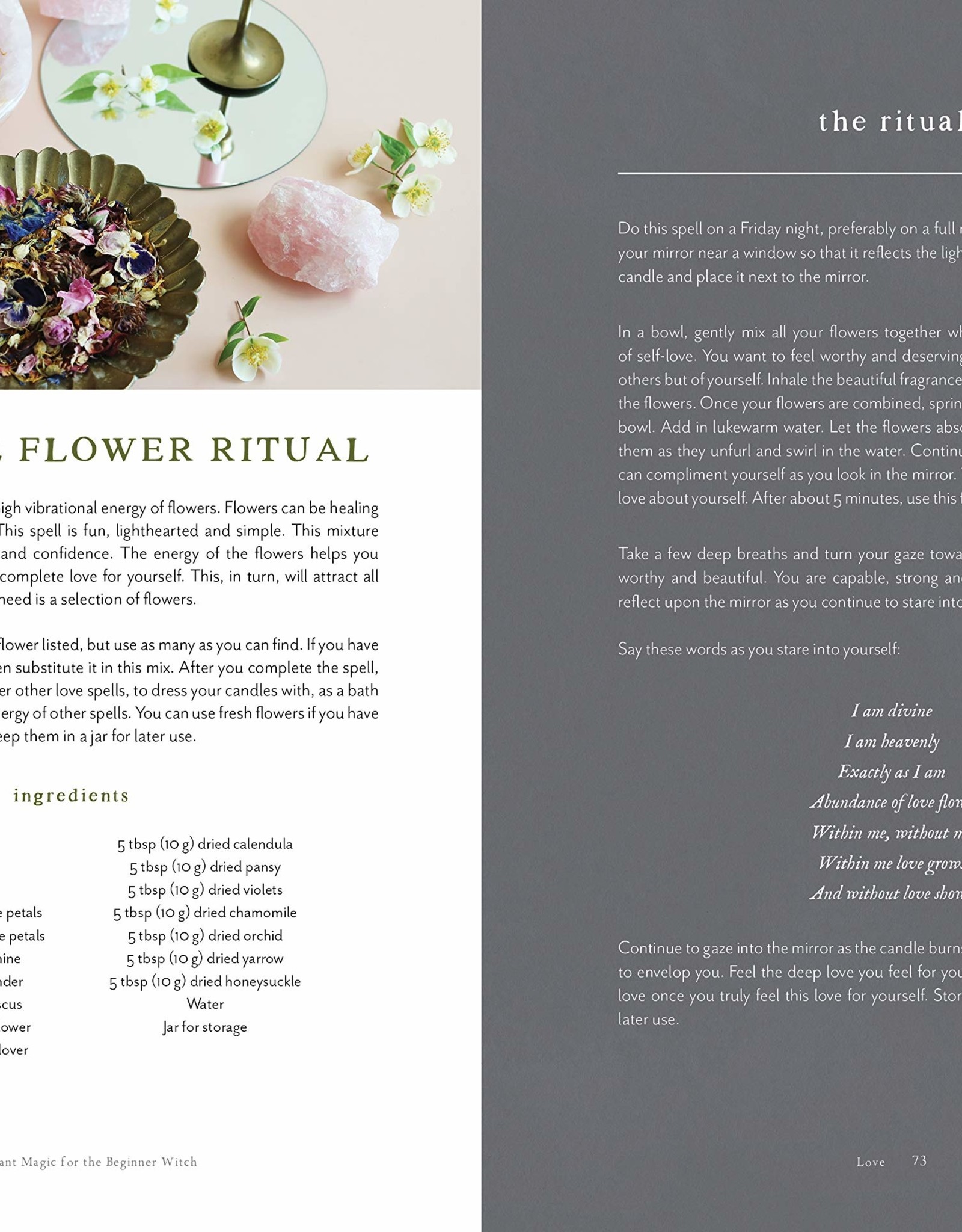 Plant Magic For The Beginner Witch