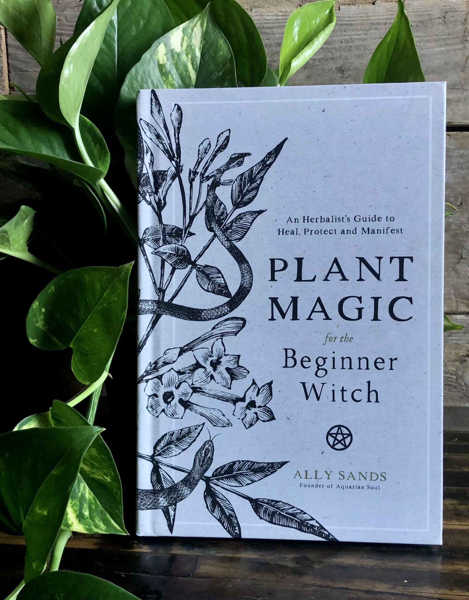 Plant Magic For The Beginner Witch