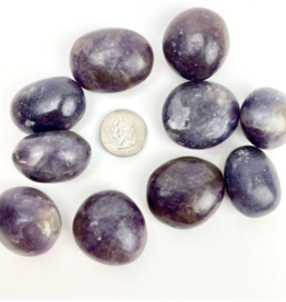 Lepidolite Palmstone | 40-50MM | Madagascar