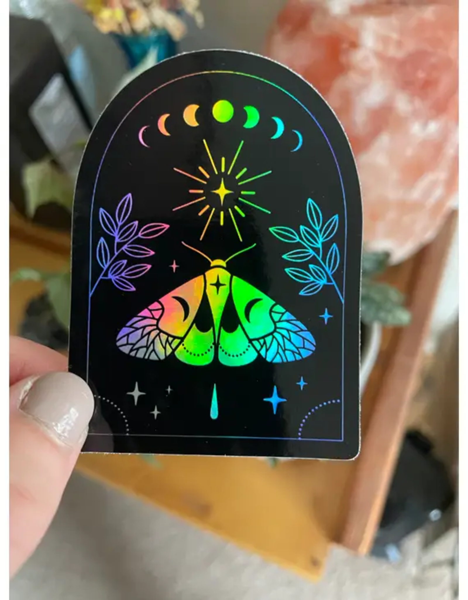 Holographic Moth Arc Sticker - Black