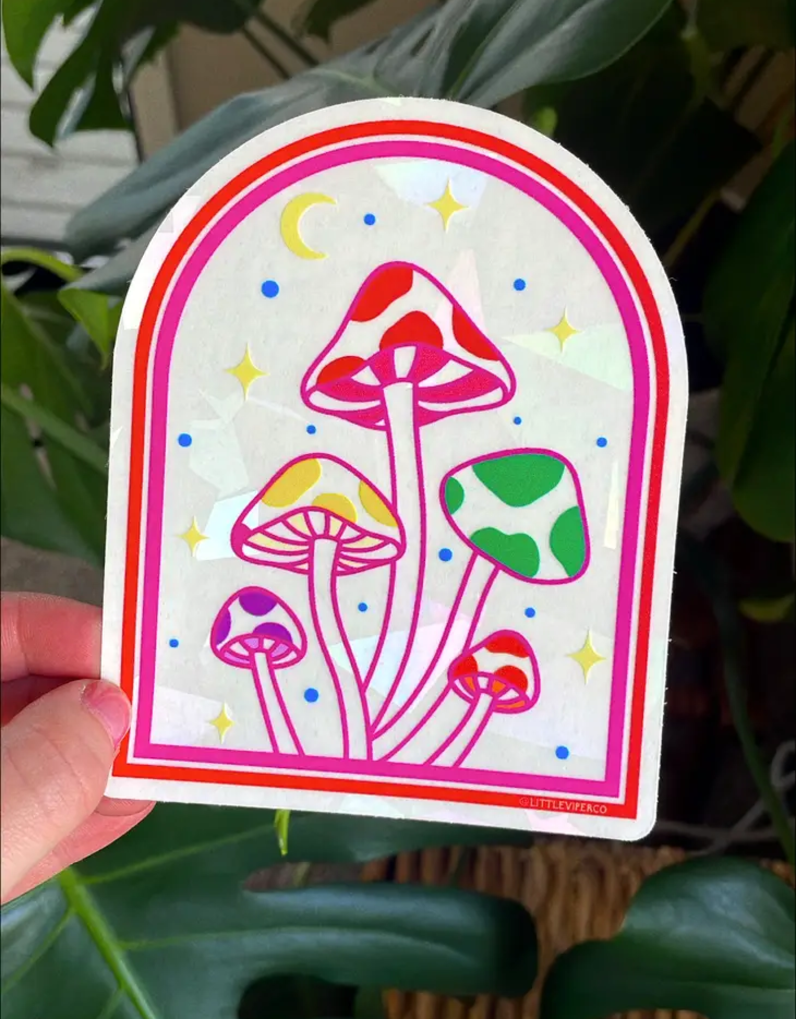 Colorful Mushroom Suncatcher