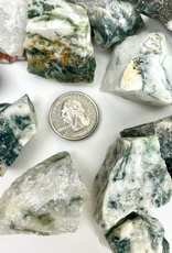 Tree Agate | Rough | 35-45mm | India