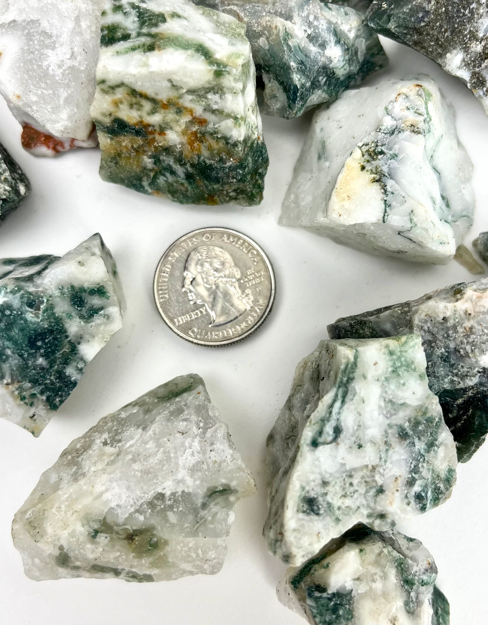 Tree Agate | Rough | 35-45mm | India