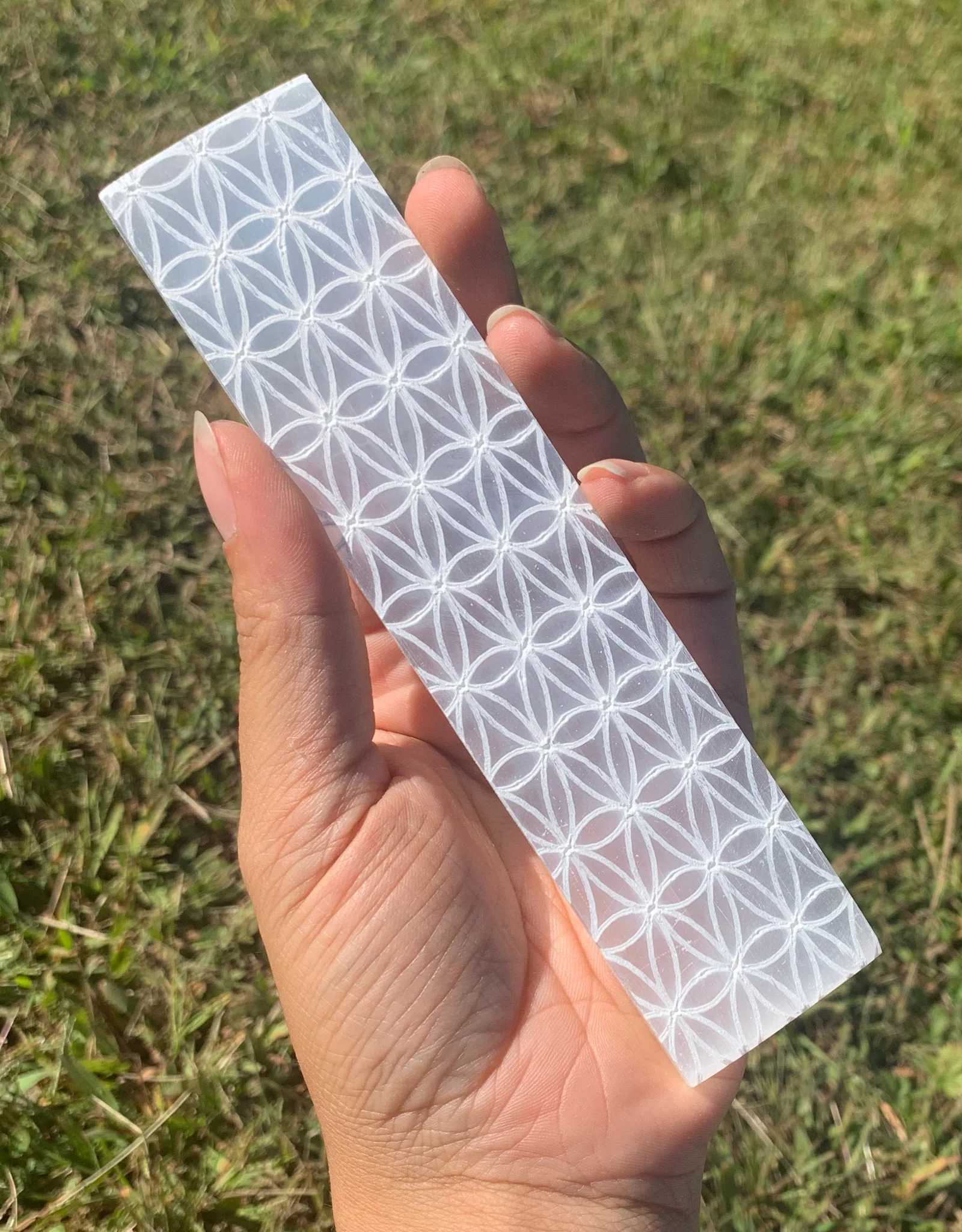 Flower of Life Flat Selenite Plate | 100-150MM | Morocco