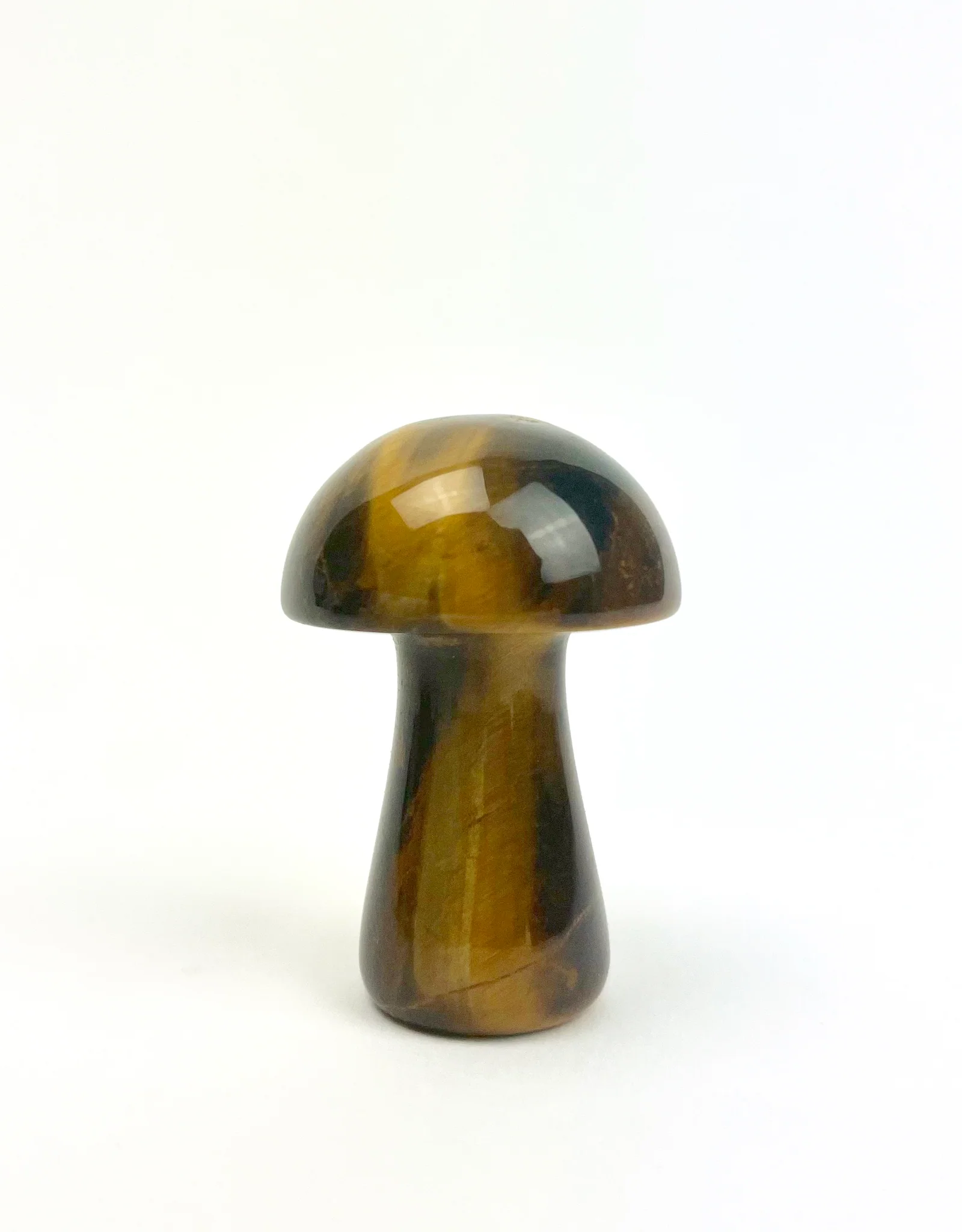 Mushroom | 50MM