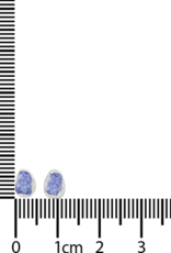 Tanzanite Stud Earrings Rough