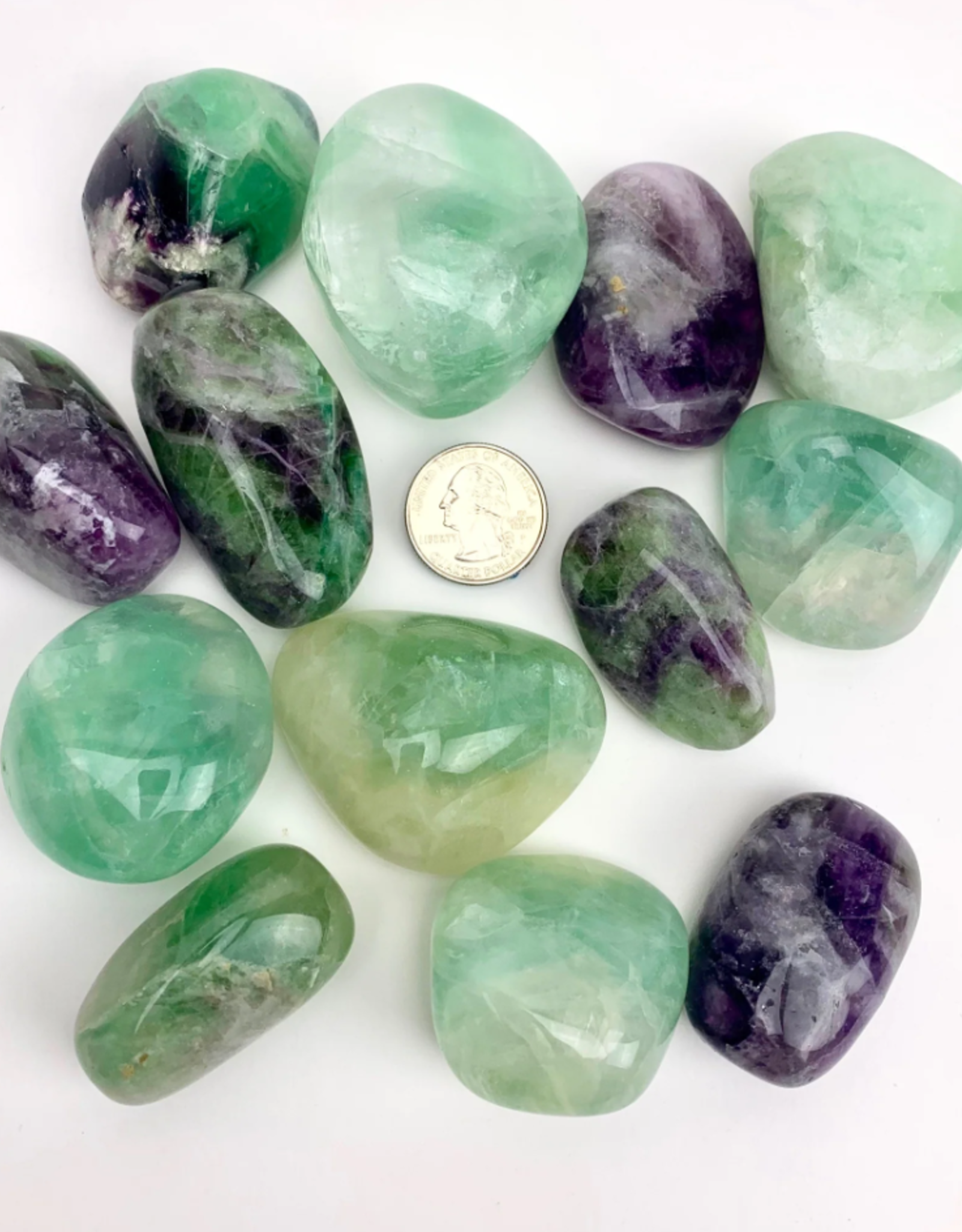 Pelham Grayson Fluorite Tumbled Natural Palmstone | 40MM-60MM | India