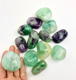 Village - Charleston Fluorite | "A" Grade | Tumbled | Natural Palmstone | 40-60mm