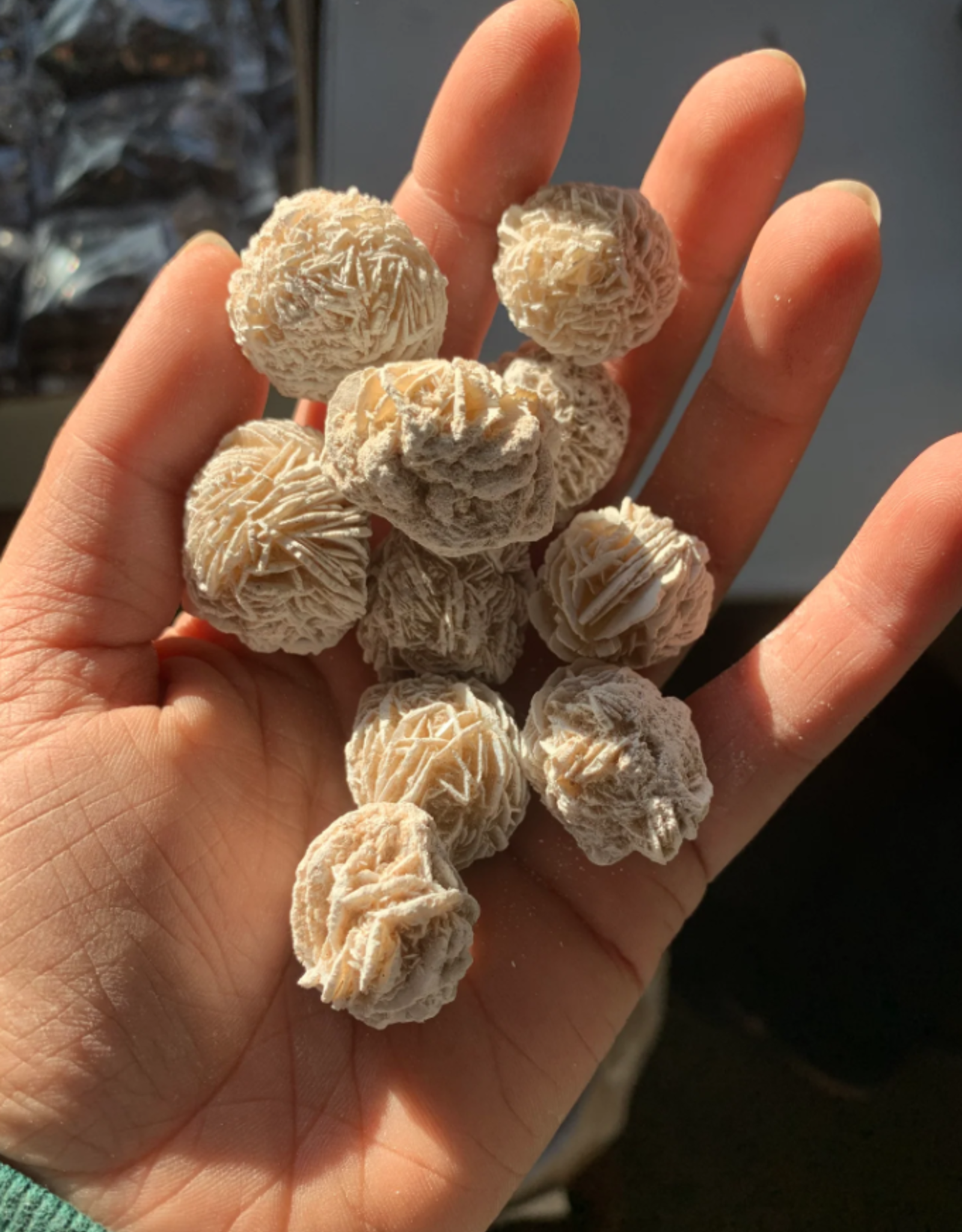 Desert Rose | 40-60mm | Mexico