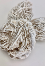 Desert Rose | 40-60mm | Mexico