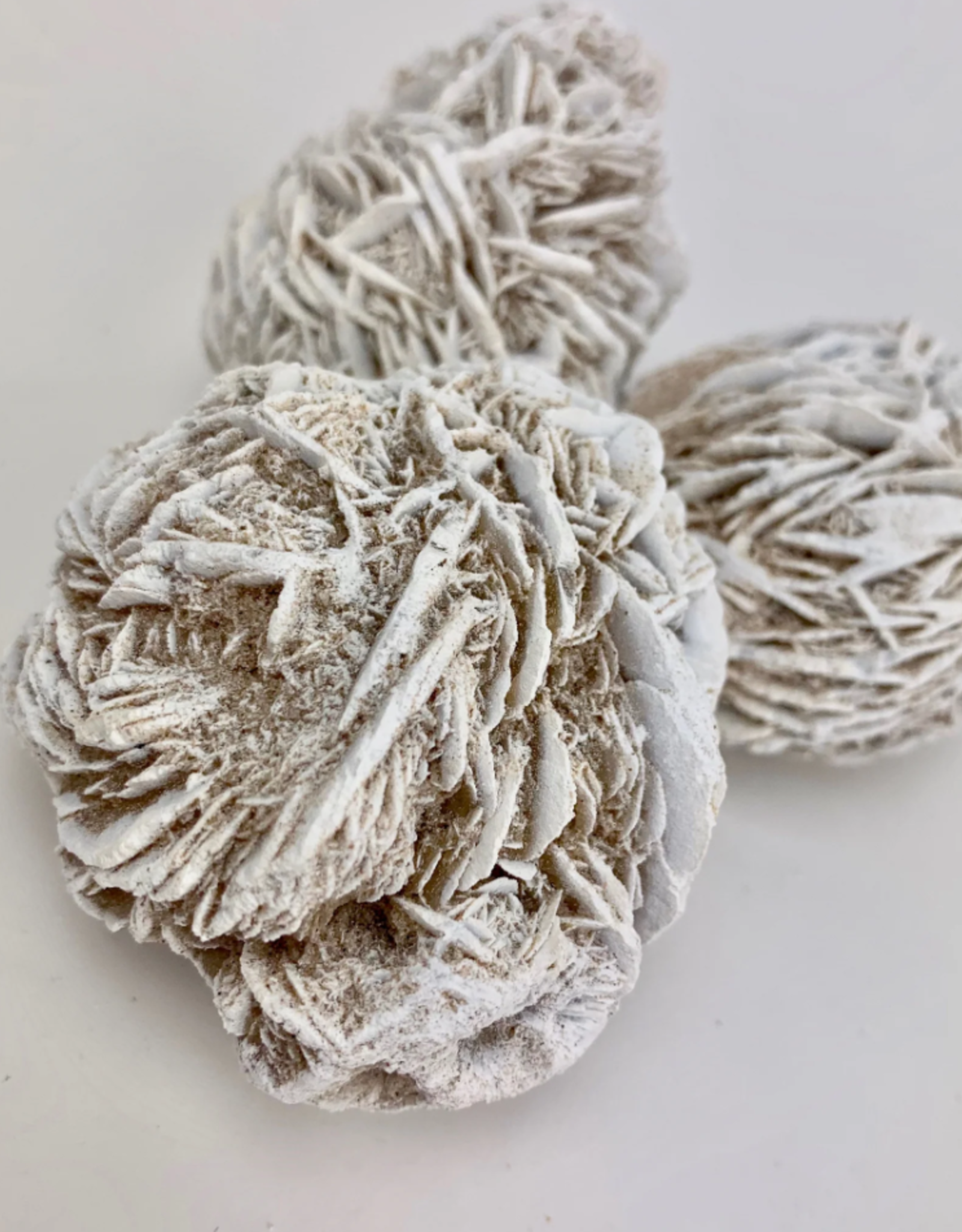 Desert Rose | 40-60mm | Mexico