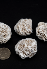 Desert Rose | 40-60mm | Mexico