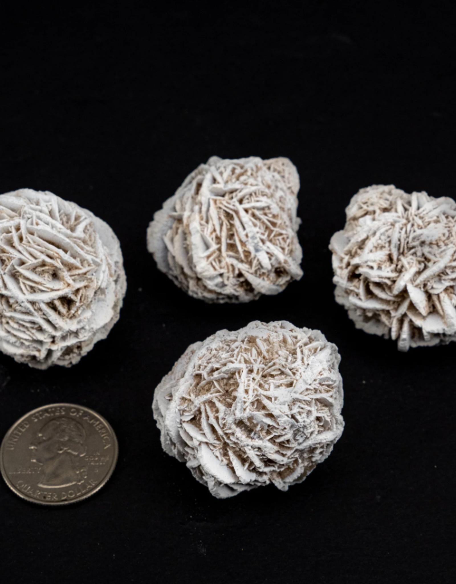 Desert Rose | 40-60mm | Mexico