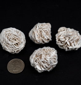 Desert Rose | 40-60mm | Mexico